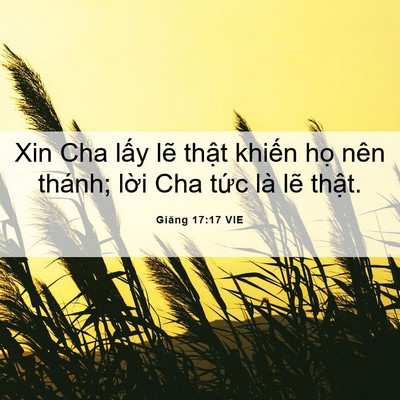 Picture 06 - Giăng 17:17 VIE - Xin Cha lấy lẽ thật khiến họ nên - Bible Verse Picture