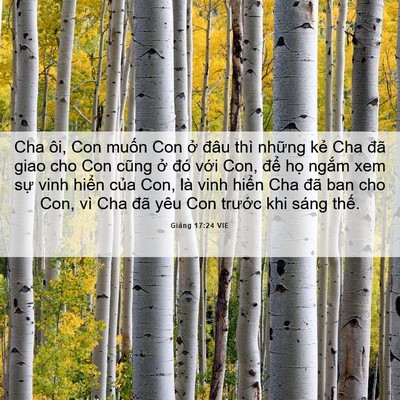 Picture 06 - Giăng 17:24 VIE - Cha ôi, Con muốn Con ở đâu thì những - Bible Verse Picture