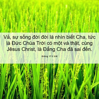 Picture 06 - Giăng 17:3 VIE - Vả, sự sống đời đời là nhìn biết - Bible Verse Picture