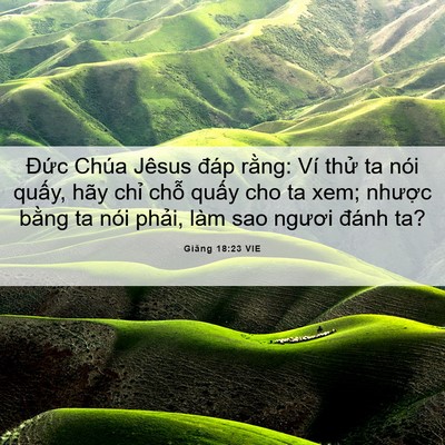 Picture 06 - Giăng 18:23 VIE - Đức Chúa Jêsus đáp rằng: Ví thử ta - Bible Verse Picture