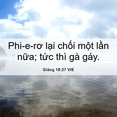 Picture 06 - Giăng 18:27 VIE - Phi-e-rơ lại chối một lần nữa; tức - Bible Verse Picture