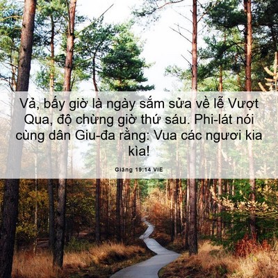 Picture 06 - Giăng 19:14 VIE - Vả, bấy giờ là ngày sắm sửa về lễ - Bible Verse Picture
