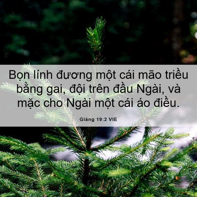Picture 06 - Giăng 19:2 VIE - Bọn lính đương một cái mão triều - Bible Verse Picture