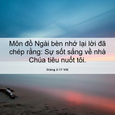 Picture 06 - Giăng 2:17 VIE - Môn đồ Ngài bèn nhớ lại lời đã - Bible Verse Picture