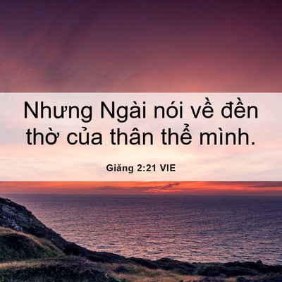 Picture 06 - Giăng 2:21 VIE - Nhưng Ngài nói về đền thờ của thân - Bible Verse Picture