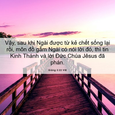Picture 06 - Giăng 2:22 VIE - Vậy, sau khi Ngài được từ kẻ chết - Bible Verse Picture