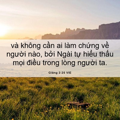 Picture 06 - Giăng 2:25 VIE - và không cần ai làm chứng về người - Bible Verse Picture