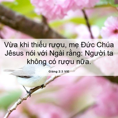 Picture 06 - Giăng 2:3 VIE - Vừa khi thiếu rượu, mẹ Đức Chúa - Bible Verse Picture