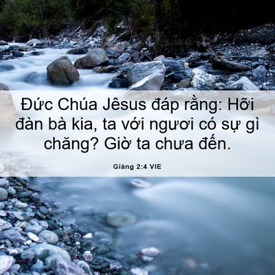 Picture 06 - Giăng 2:4 VIE - Đức Chúa Jêsus đáp rằng: Hỡi đàn bà - Bible Verse Picture