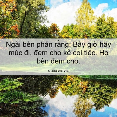 Picture 06 - Giăng 2:8 VIE - Ngài bèn phán rằng: Bây giờ hãy múc - Bible Verse Picture