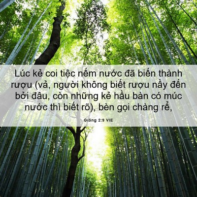 Picture 06 - Giăng 2:9 VIE - Lúc kẻ coi tiệc nếm nước đã biến - Bible Verse Picture