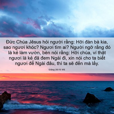 Picture 06 - Giăng 20:15 VIE - Đức Chúa Jêsus hỏi người rằng: Hỡi - Bible Verse Picture