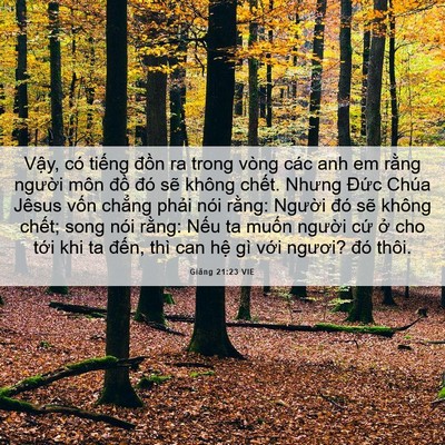 Picture 06 - Giăng 21:23 VIE - Vậy, có tiếng đồn ra trong vòng các anh - Bible Verse Picture