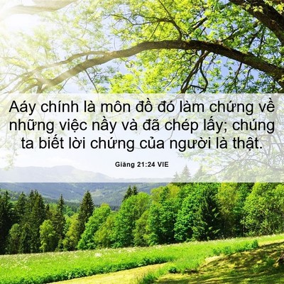 Picture 06 - Giăng 21:24 VIE - Aáy chính là môn đồ đó làm chứng về - Bible Verse Picture