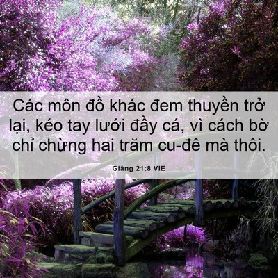 Picture 06 - Giăng 21:8 VIE - Các môn đồ khác đem thuyền trở lại, - Bible Verse Picture