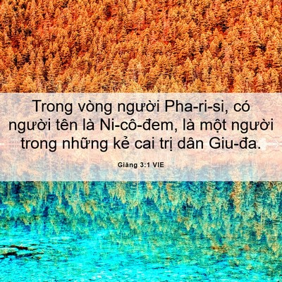 Picture 06 - Giăng 3:1 VIE - Trong vòng người Pha-ri-si, có người tên - Bible Verse Picture