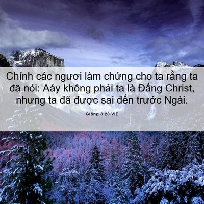 Picture 06 - Giăng 3:28 VIE - Chính các ngươi làm chứng cho ta rằng ta - Bible Verse Picture