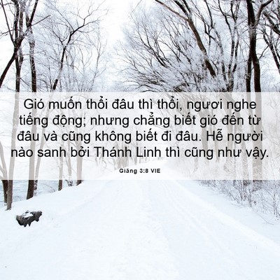 Picture 06 - Giăng 3:8 VIE - Gió muốn thổi đâu thì thổi, ngươi - Bible Verse Picture