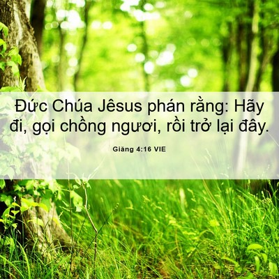 Picture 06 - Giăng 4:16 VIE - Đức Chúa Jêsus phán rằng: Hãy đi, gọi - Bible Verse Picture