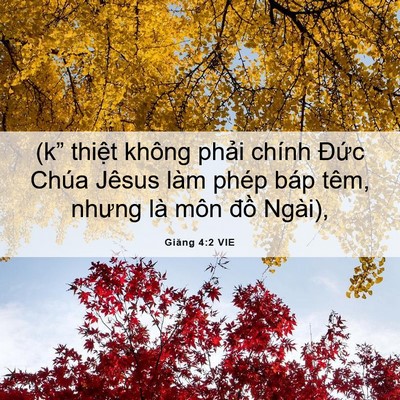 Picture 06 - Giăng 4:2 VIE - (k” thiệt không phải chính Đức Chúa - Bible Verse Picture