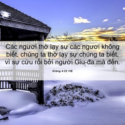 Picture 06 - Giăng 4:22 VIE - Các ngươi thờ lạy sự các ngươi không - Bible Verse Picture