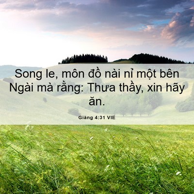 Picture 06 - Giăng 4:31 VIE - Song le, môn đồ nài nỉ một bên Ngài - Bible Verse Picture