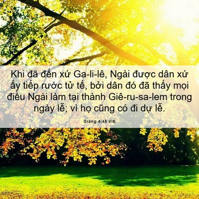 Picture 06 - Giăng 4:45 VIE - Khi đã đến xứ Ga-li-lê, Ngài được - Bible Verse Picture