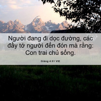 Picture 06 - Giăng 4:51 VIE - Người đang đi dọc đường, các đầy - Bible Verse Picture