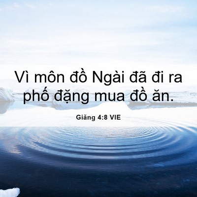 Picture 06 - Giăng 4:8 VIE - Vì môn đồ Ngài đã đi ra phố đặng - Bible Verse Picture