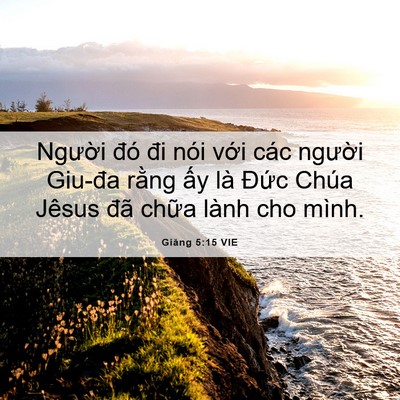 Picture 06 - Giăng 5:15 VIE - Người đó đi nói với các người - Bible Verse Picture