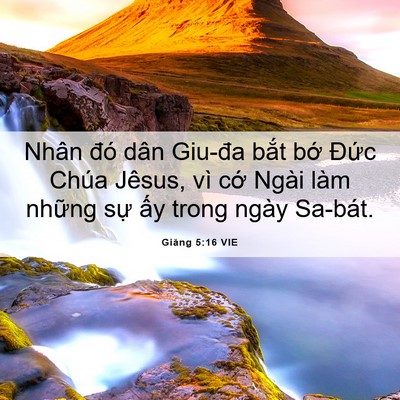 Picture 06 - Giăng 5:16 VIE - Nhân đó dân Giu-đa bắt bớ Đức Chúa - Bible Verse Picture