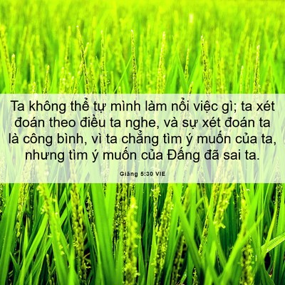 Picture 06 - Giăng 5:30 VIE - Ta không thể tự mình làm nổi việc gì; - Bible Verse Picture