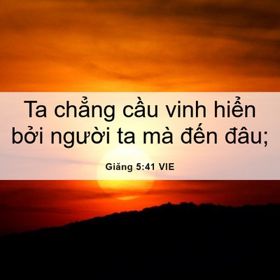 Picture 06 - Giăng 5:41 VIE - Ta chẳng cầu vinh hiển bởi người ta - Bible Verse Picture