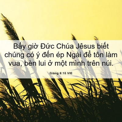 Picture 06 - Giăng 6:15 VIE - Bấy giờ Đức Chúa Jêsus biết chúng có - Bible Verse Picture