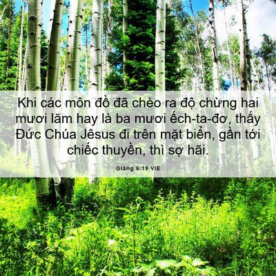 Picture 06 - Giăng 6:19 VIE - Khi các môn đồ đã chèo ra độ chừng - Bible Verse Picture