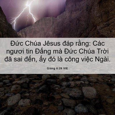 Picture 06 - Giăng 6:29 VIE - Đức Chúa Jêsus đáp rằng: Các ngươi - Bible Verse Picture