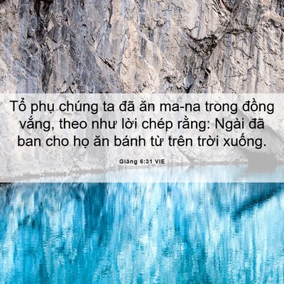 Picture 06 - Giăng 6:31 VIE - Tổ phụ chúng ta đã ăn ma-na trong đồng - Bible Verse Picture