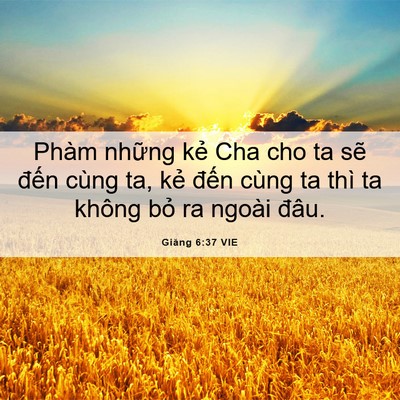 Picture 06 - Giăng 6:37 VIE - Phàm những kẻ Cha cho ta sẽ đến cùng - Bible Verse Picture