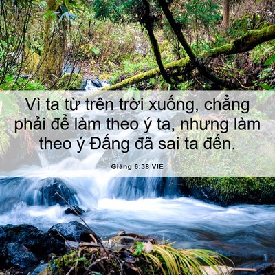 Picture 06 - Giăng 6:38 VIE - Vì ta từ trên trời xuống, chẳng phải - Bible Verse Picture