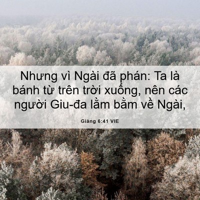 Picture 06 - Giăng 6:41 VIE - Nhưng vì Ngài đã phán: Ta là bánh từ - Bible Verse Picture