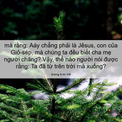 Picture 06 - Giăng 6:42 VIE - mà rằng: Aáy chẳng phải là Jêsus, con - Bible Verse Picture