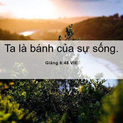 Picture 06 - Giăng 6:48 VIE - Ta là bánh của sự - Bible Verse Picture