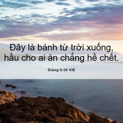 Picture 06 - Giăng 6:50 VIE - Đây là bánh từ trời xuống, hầu cho ai - Bible Verse Picture