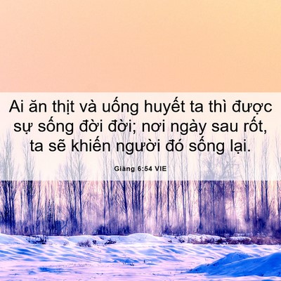 Picture 06 - Giăng 6:54 VIE - Ai ăn thịt và uống huyết ta thì được - Bible Verse Picture