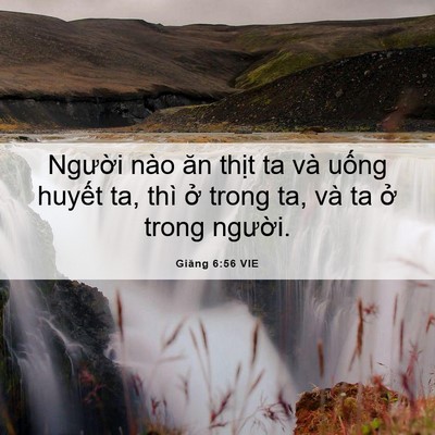 Picture 06 - Giăng 6:56 VIE - Người nào ăn thịt ta và uống huyết - Bible Verse Picture