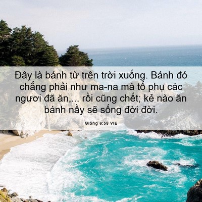 Picture 06 - Giăng 6:58 VIE - Đây là bánh từ trên trời xuống. Bánh - Bible Verse Picture