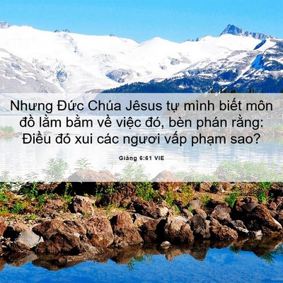Picture 06 - Giăng 6:61 VIE - Nhưng Đức Chúa Jêsus tự mình biết môn - Bible Verse Picture
