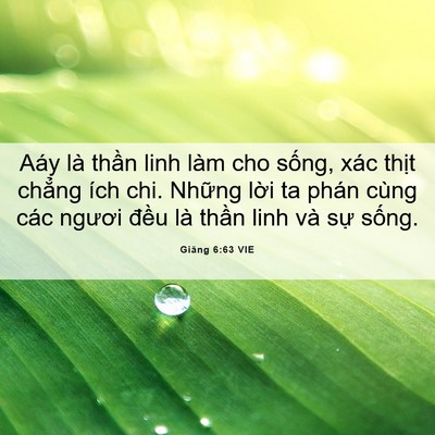 Picture 06 - Giăng 6:63 VIE - Aáy là thần linh làm cho sống, xác thịt - Bible Verse Picture