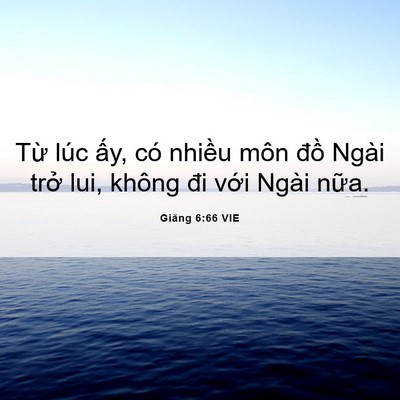 Picture 06 - Giăng 6:66 VIE - Từ lúc ấy, có nhiều môn đồ Ngài - Bible Verse Picture