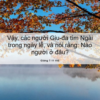 Picture 06 - Giăng 7:11 VIE - Vậy, các người Giu-đa tìm Ngài trong - Bible Verse Picture
